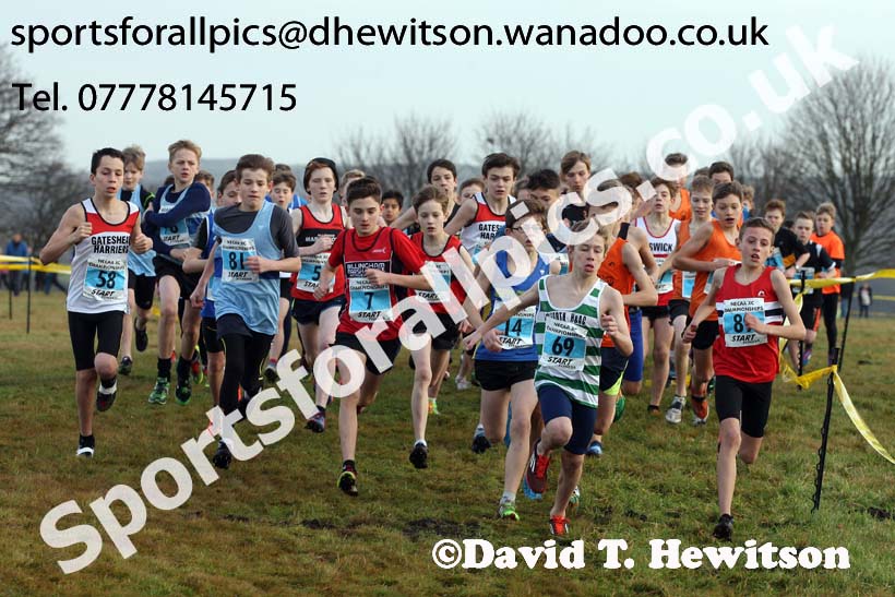 Boys under-13s North Eastern Cross Country, Aykley Heads, Durham. Photo: David T. Hewitson/Sports for All Pics